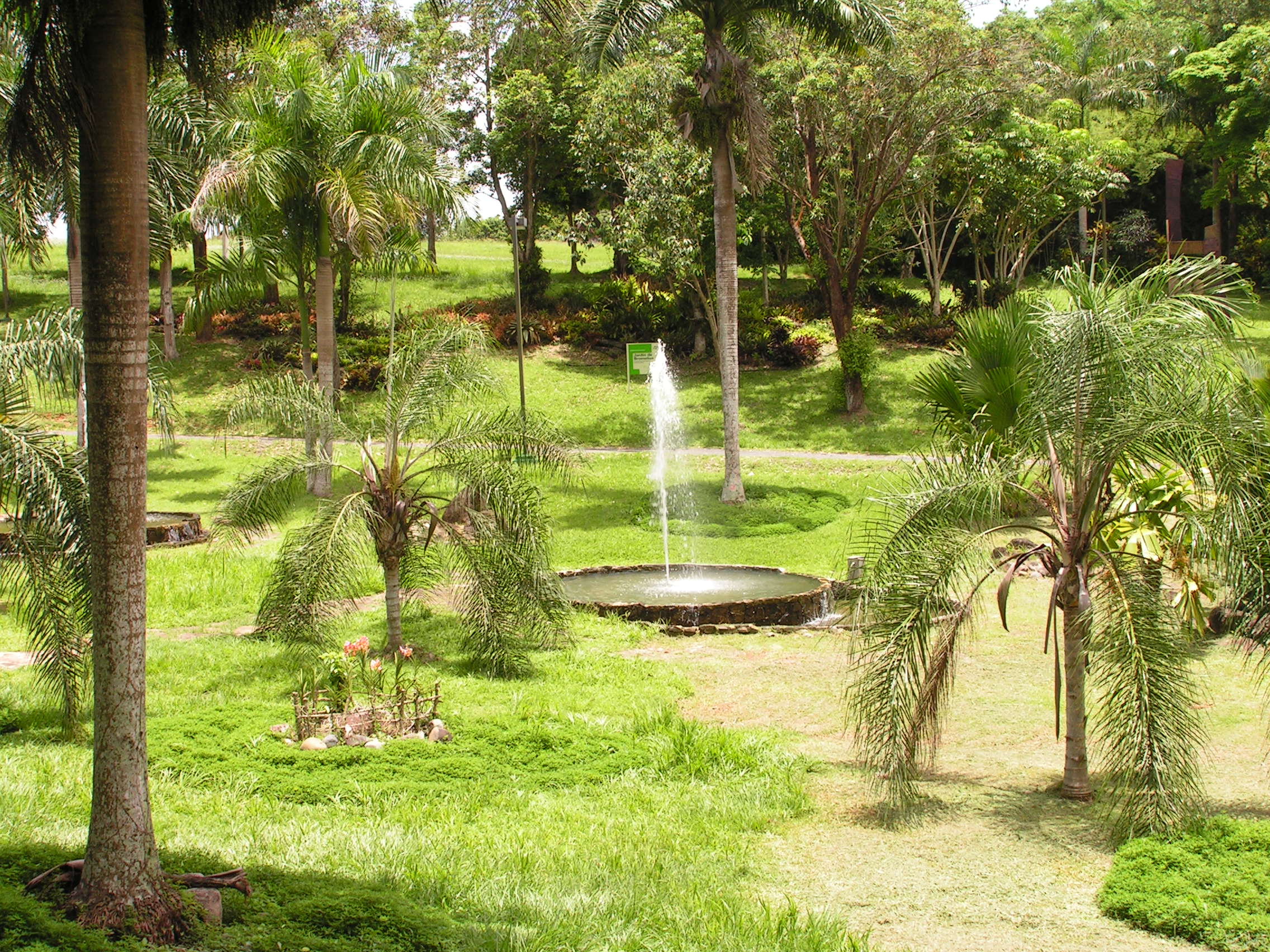 ./2005/Puerto Rico/Part 2/PICT0130.JPG